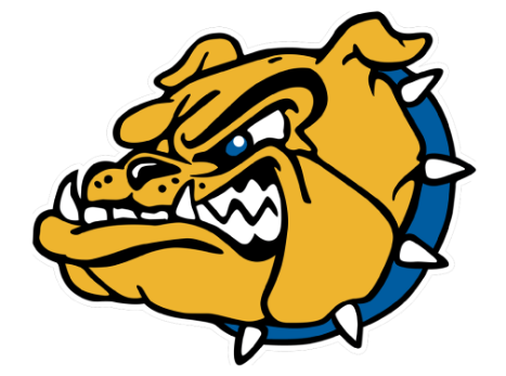 Olmsted Falls High School School Logo